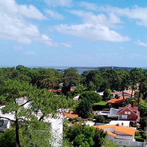 (bpv-bpv-11355)  Departamento En Alquiler De 3 Ambientes En Cantegril