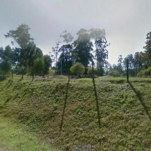 (bpv-bpv-2806)  Lote | La Herradura