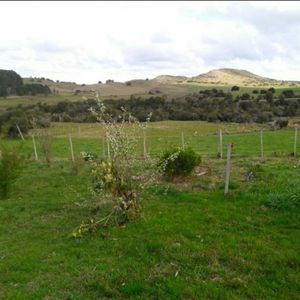 (bpv-bpv-5792)  Chacra En Venta