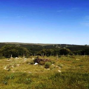 (bpv-bpv-6824)  Quinta En Venta En Lavalleja
