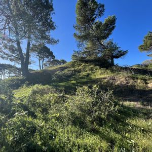 (bpv-bpv-7779)  Excelente Terreno De Gran Metraje En Punta Del Este