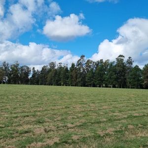 (bpv-bpv-7827)  Quinta En Venta En Manantiales