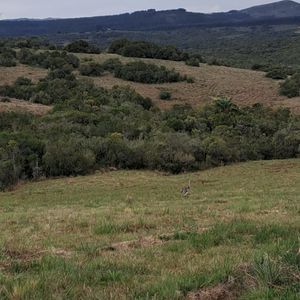 (bpv-bpv-8775)  Chacra En Venta Monoambiente