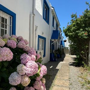 (bpv-bpv-9629)  Apartamento En Alquiler 1 Dormitorio
