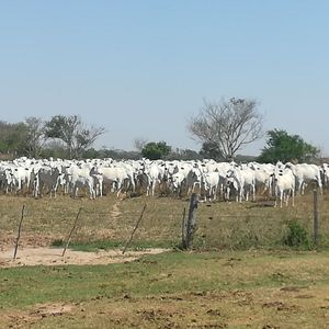 Propiedad Ganadera De 1000 Has.equipada - Zona Rio Grande En Venta