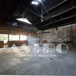 Local Comercial - Industrial - Opción Parking