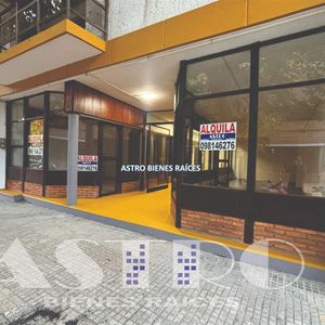 Locales Comerciales En Alquiler Melo
