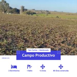 Venta, Campo, Maldonado, Uruguay