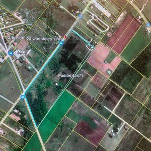 Venta Campo De 13hs En Paso De La Arena