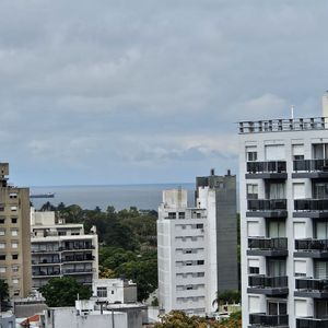 Apartamento Un Dormitorio Pocitos