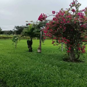 Propiedad Urbanizada Aprobada, Urbanización El Espinito