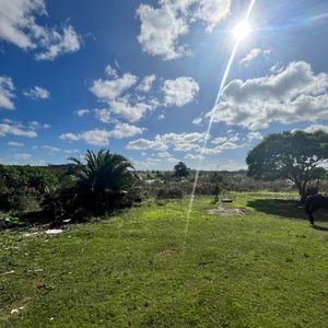 Terreno En Venta, 5 Hectáreas Casi Frente Al Estadio Campeon Del Siglo