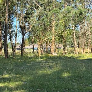Terreno En Venta De 16h Ingreso A Cabo Polonio