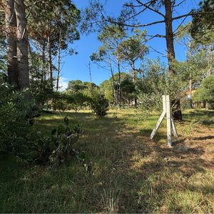 Terreno En Venta De 600m2 Ubicado En La Paloma