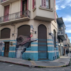 Local Comercial En Venta Ubicado En Ciudad Vieja