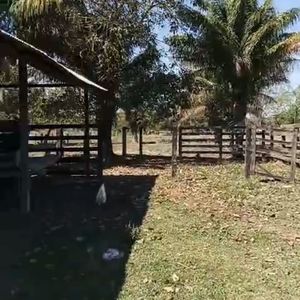 Propiedad En Venta Sobre Carretera Asfaltada De Trinidad A San Pablo
