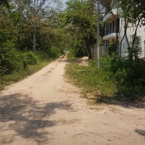  Z/ Norte,lindo Terreno Arbolizado De 720m2  En La  Urbanizacion Valle Sánchez 2