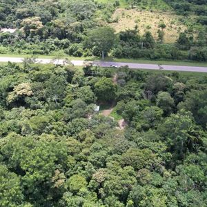 Tierras Productivas 50ht. 