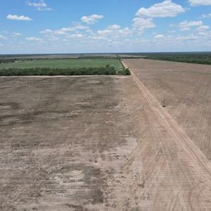 115 Hectáreas Agrícolas Sobre Carretera – Tres Cruces