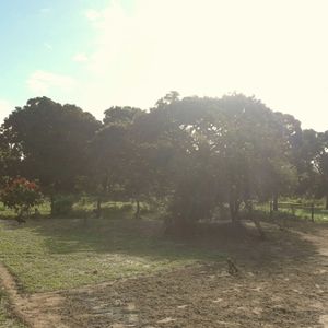 5 Has. A Pocos Metros De La Plaza Principal De La Guardia