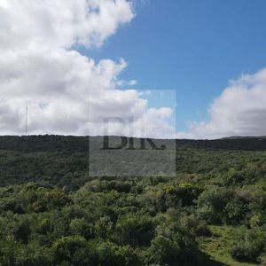 Chacras De 3ha En Venta En Aiguá