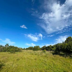 Campo En Rocha