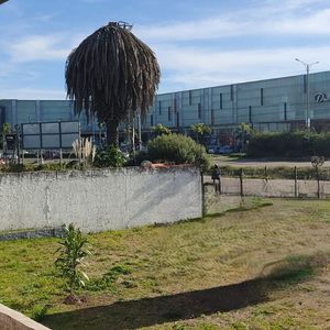 Local Comercial En Alquiler Ubicado En San José De Carrasco