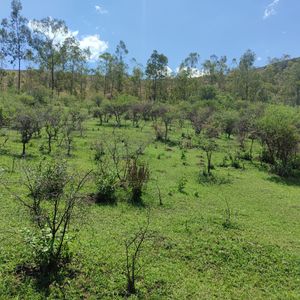 Urbanizacion La Colina