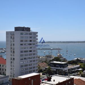 Apartamento En Península 1 Dormitorio En Alquiler Invernal