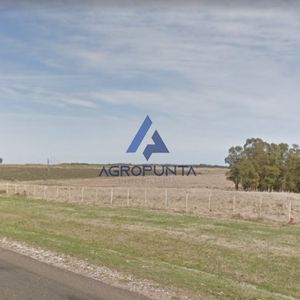 Chacra Sobre Ruta 104 De 20 Hectareas