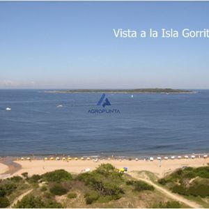 Apartamento En Mansa, 3 Dormitorios *