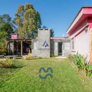 Casa En La Barra, El Tesoro