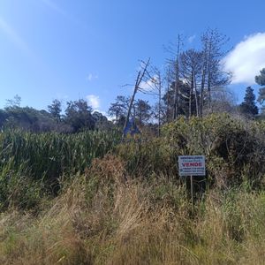 Venta 720 M2 A 6 Cuadras Del Mar