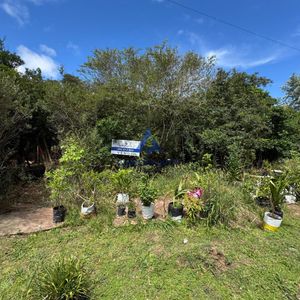 Venta De Terreno En Sauce De Portezuelo