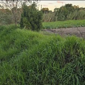 Venta Terreno En San José De Carrasco Próximo A Costa Urbana Ideal Inversión
