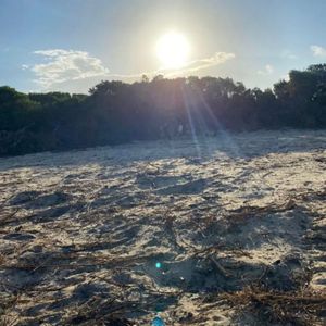 Terreno En Venta Primera Línea Al Mar 560 M2 A Metros Del Océano