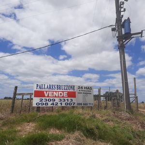 Buen Predio Rural, 24 Héctareas  A 600 M Ruta 5, Km 50.