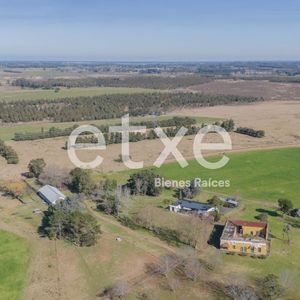 Campo Venta 382 Has Ruta 11 Canelones Ideal Fraccionamiento