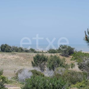 Terreno En Venta San Anotnio Rocha