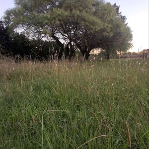 Venta Terreno S J De Carrasco,  Ubicación Estratégica Para Construir Hasta 10 Unidades! Zona Barrios Privados Cerca De Todo