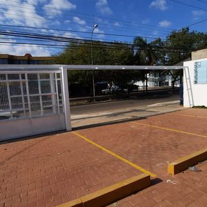 Locales En Alquiler Av Mutualista