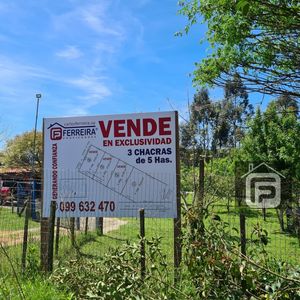 Vende 3 Chácras De 5 Hectáreas Cada Una, Por Ruta 27- Rivera.