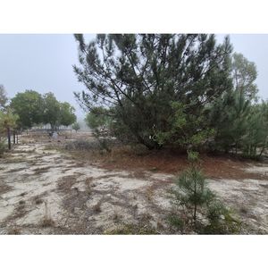 Vende Terreno De 432 M2 En Balneario Argentino Sur - Canelones