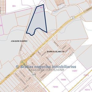 Terreno En Pando De 12 Hectáreas, Pegado A La Ciudad