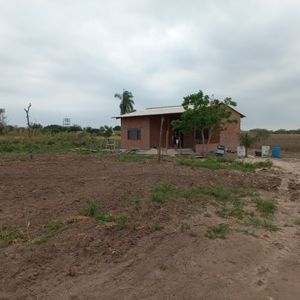 Se Vende 15.5 Hectareas De Terreno 