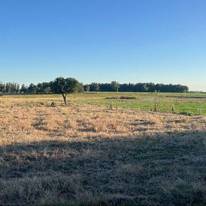 Campo Agrícola-ganadero De 10,5 Ha Sobre Ruta 5 Con Excelente Logística
