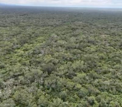 En Venta 3.137 Hectáreas De Monte (charagua) Cerca A Colonias Menonitas