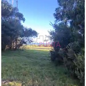 Oprtunidad De Terreno En Las Garzas Con 2290 M2