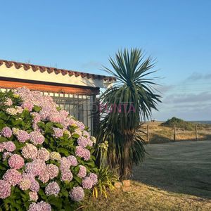 Enero Y Febrero Disponible.