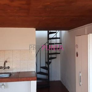 Apartamento De Un Dormitorio Alquiler Anual